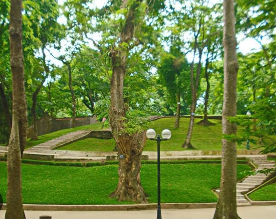 Da Tree Homestay Hanoi Exterior photo
